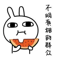 娱乐吃瓜酱喊着要吃饭,揭秘明星们的美食日常